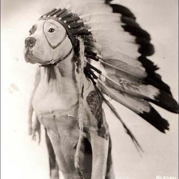 Meet your Posher, Monica - Picture 1 of 1